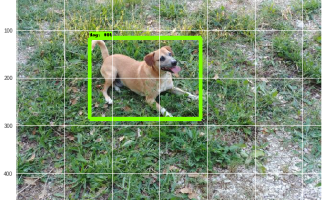 Instance Segmentation In Google Colab With Custom Dataset | By RomRoc ...