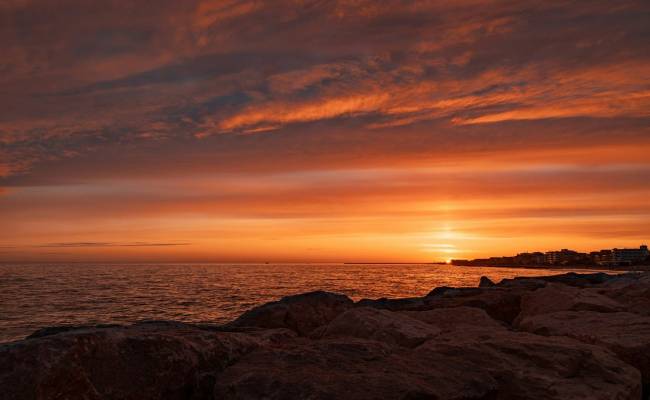 How To Add A Custom Bottom Tabs Navigation Bar In React Native | By ...