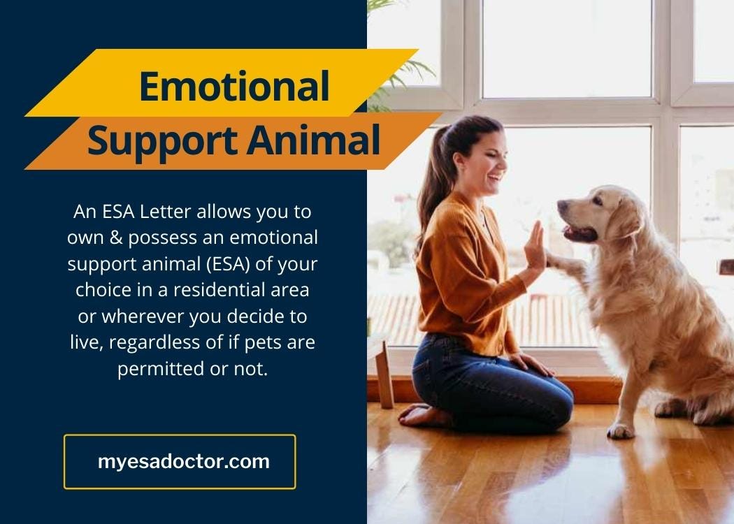 How to get esa letter