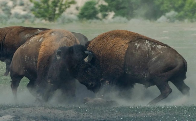 How To Change The Default Port For Any Nx Project With 2 Simple Tricks ...