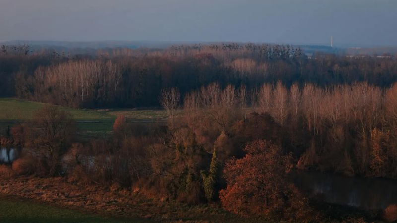 Postgresql Pg Terminate Backend Function - Vintage Wallpapers - Perfect High Resolution Collection