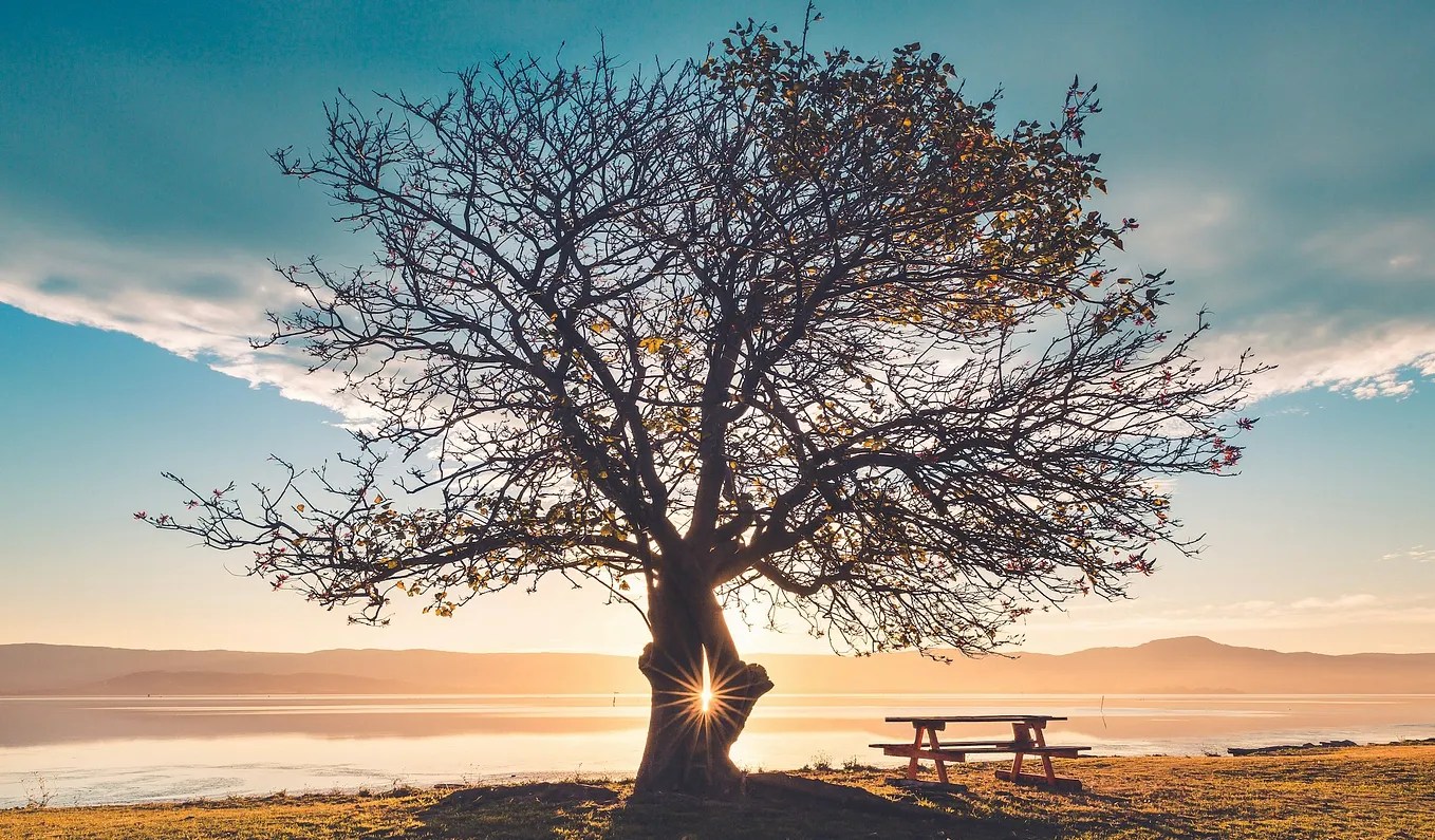 What makes people pay $1,000+ for life coaching