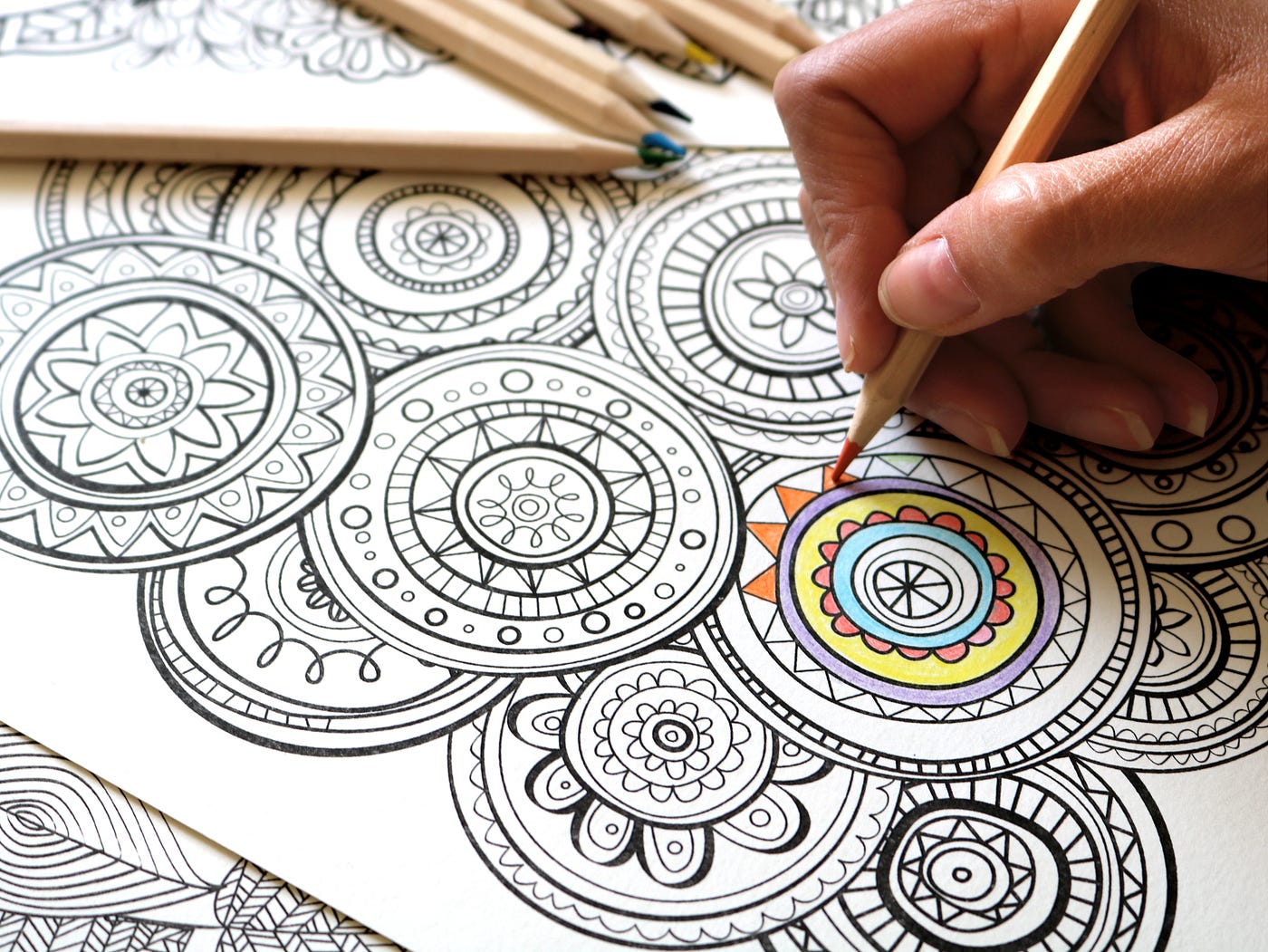 The 50 Best Adult Coloring Books to Relax, Laugh, and Unwind With in 2023 |  Feedium