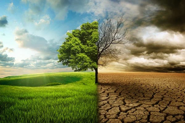 The Looming Climate Crisis: A Global Threat