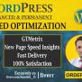 I Will Increase Wordpress Speed Optimization For Gtmetrix, Google Page ...