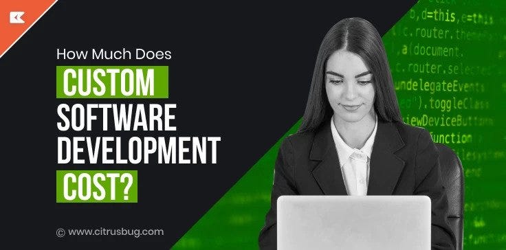 How much does custom software development cost?