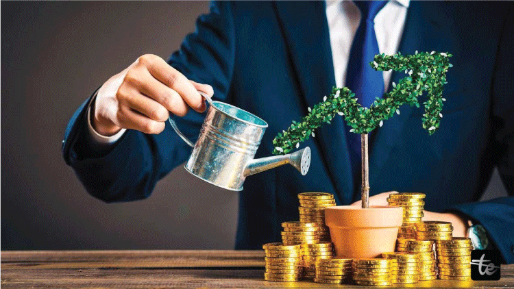 Meaning of wealth: definition, types and how is it measured?