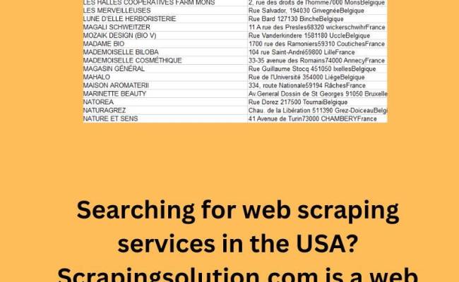 Web Scraping Services Usa | Scrapingsolution.com - Scraping Solution ...