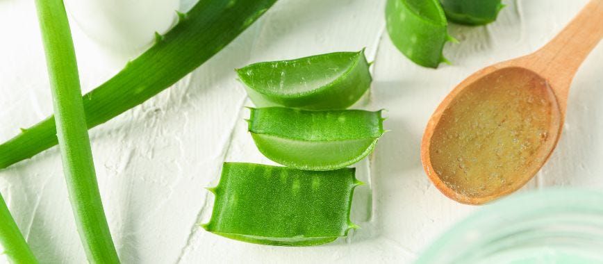 Is aloe vera gel good for hair?. when it comes to natural hair care
