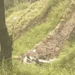 Uttarakhand रात को सफर करना खतरनाक, 3 लोगों की दर्दनाक मौत