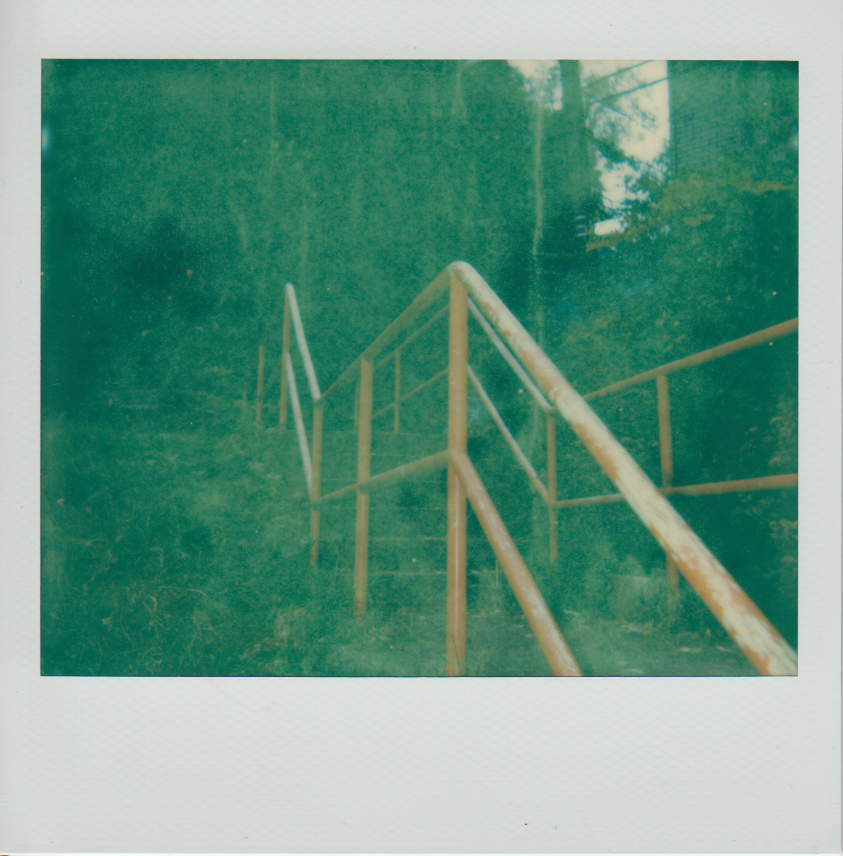 Trip #69 Rothlein Way, Spring Garden, Pittsburgh