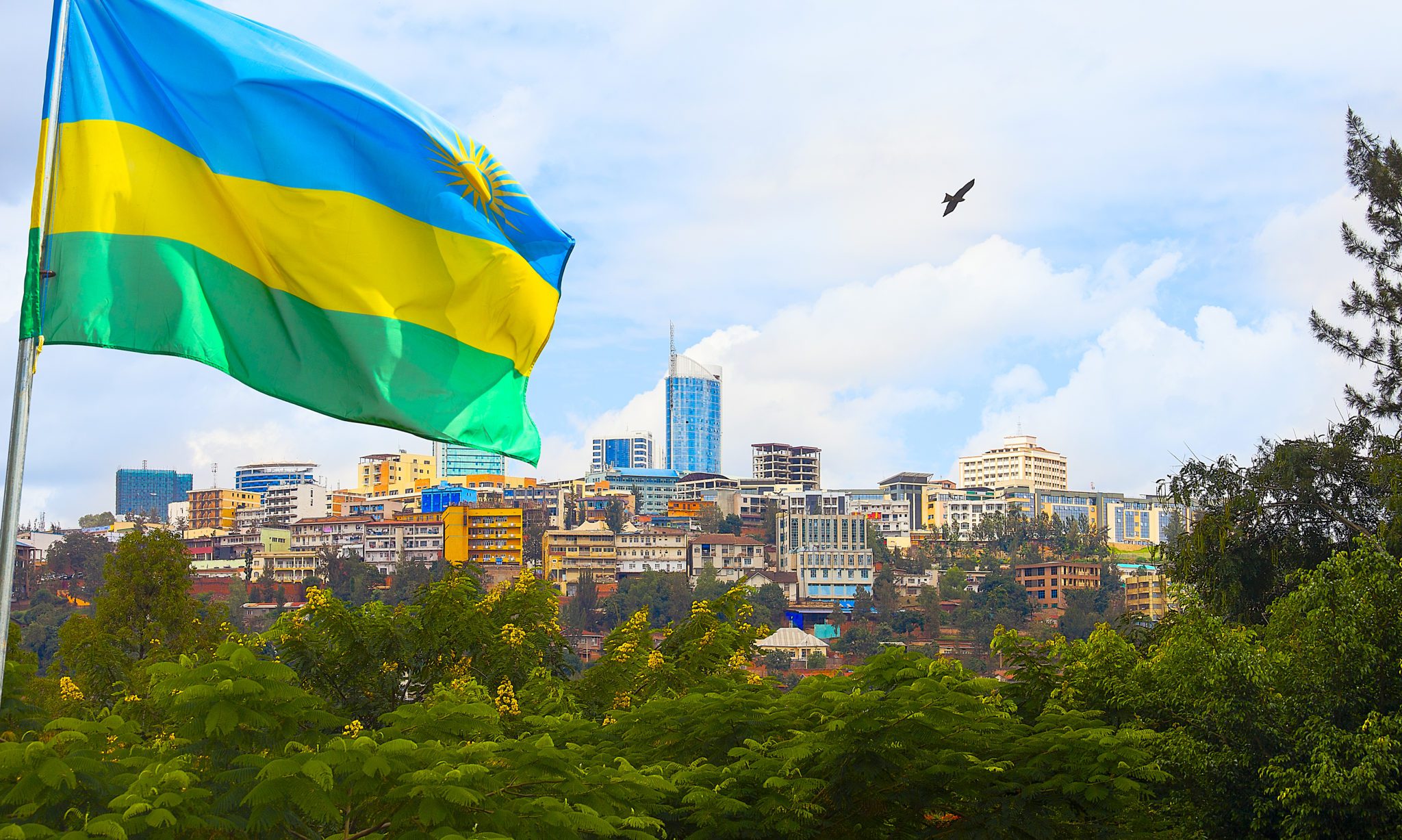 رواندا: واحدة من أسرع الدول نموًا وتطورًا في أفريقيا (Rwanda)