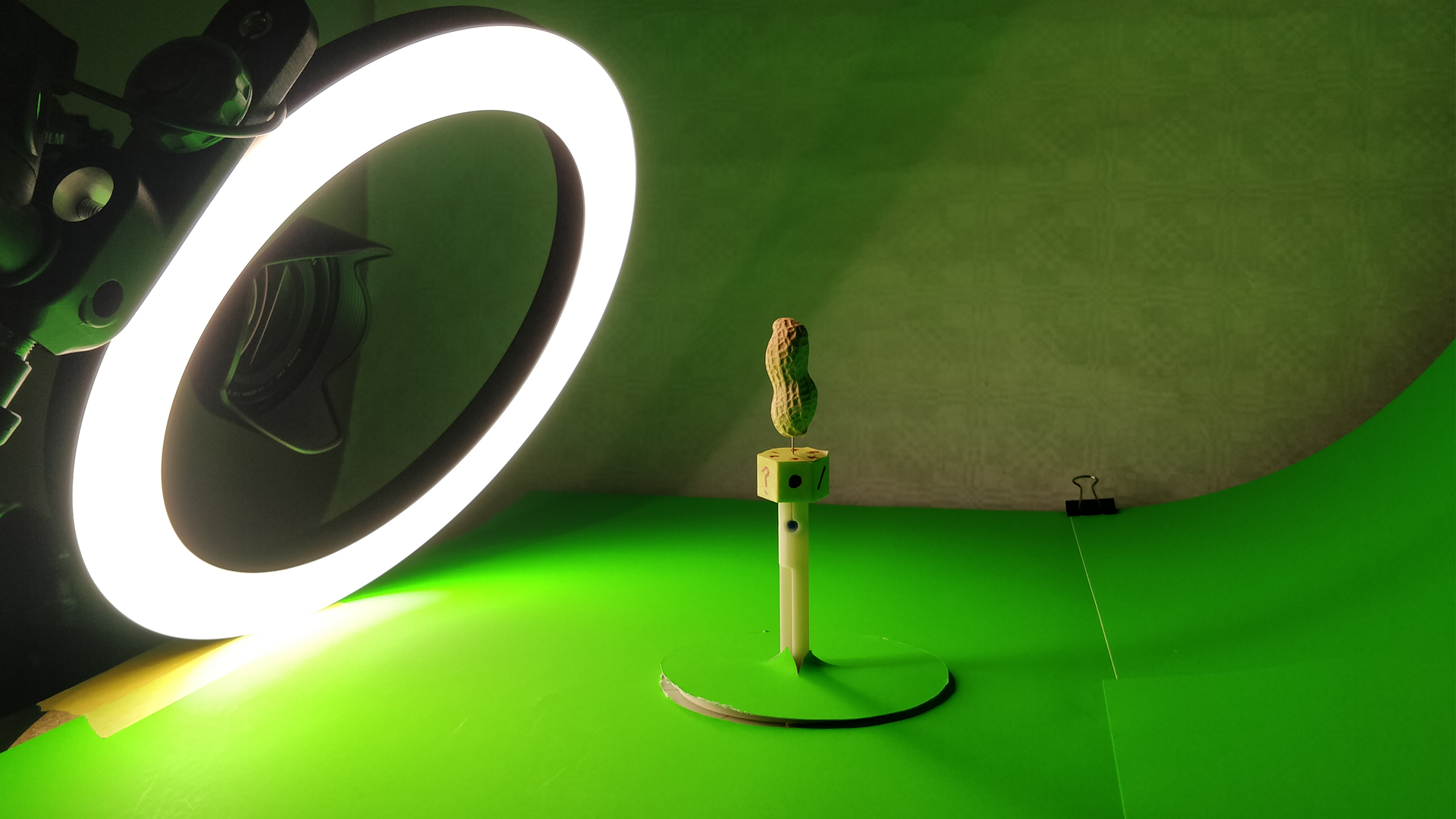 3D Scanned Peanut - Photogrammetry Workflow Agisoft Metashape Standard