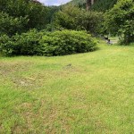 06.11亀1