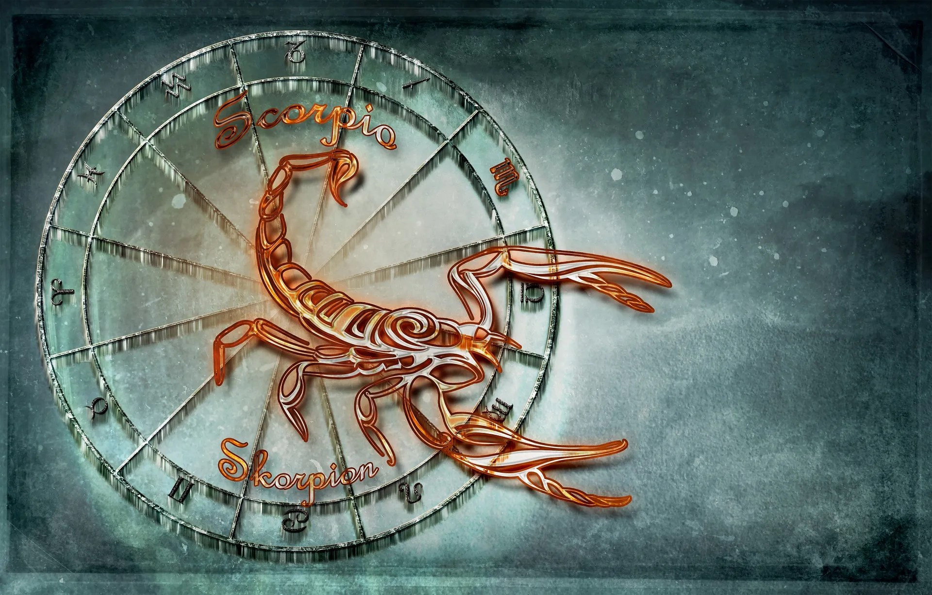 Lire la suite à propos de l’article Le scorpion