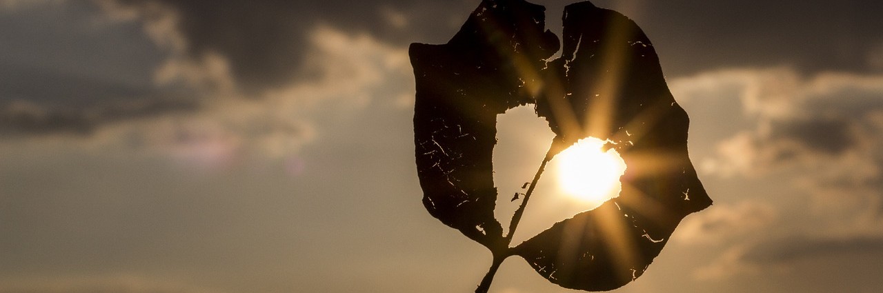 How Grief Can Be a Blessing for Those Mourning 2