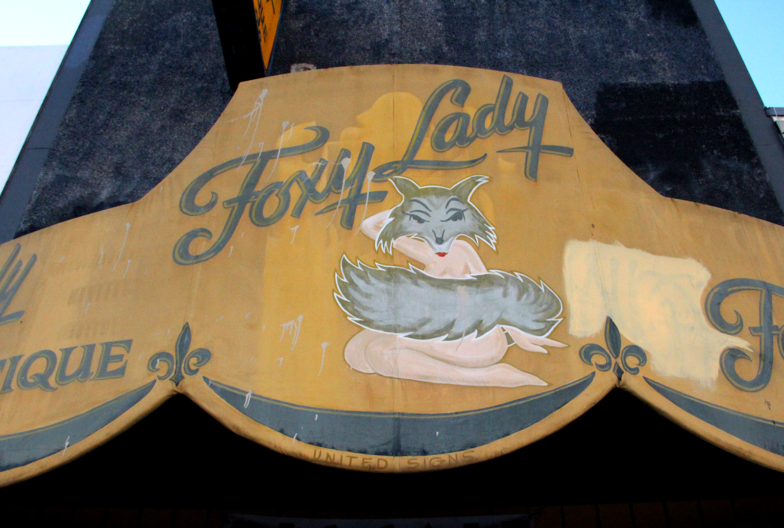 20121113_Neumann_Foxy4.jpg?fit