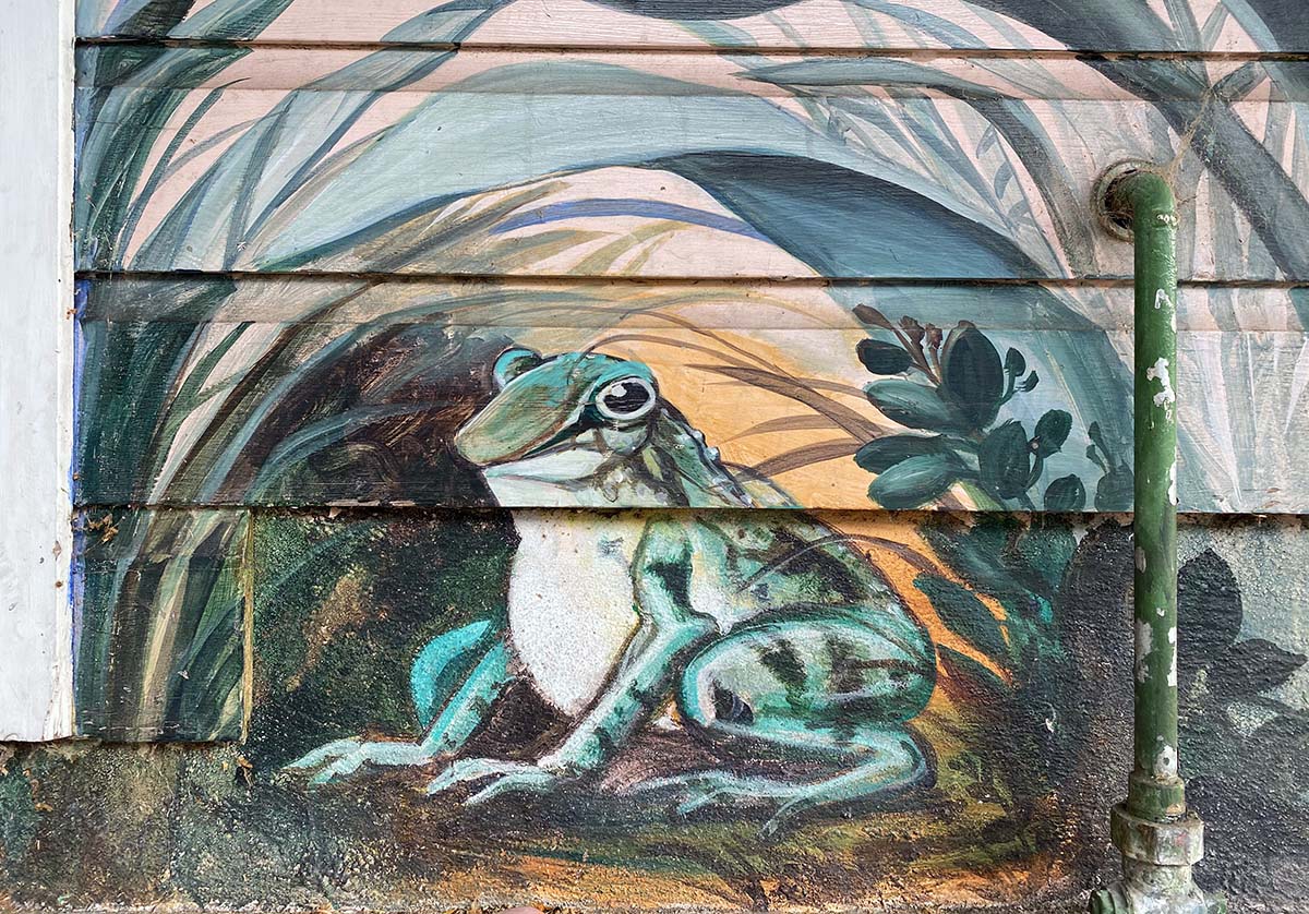 frog mural on 22nd street