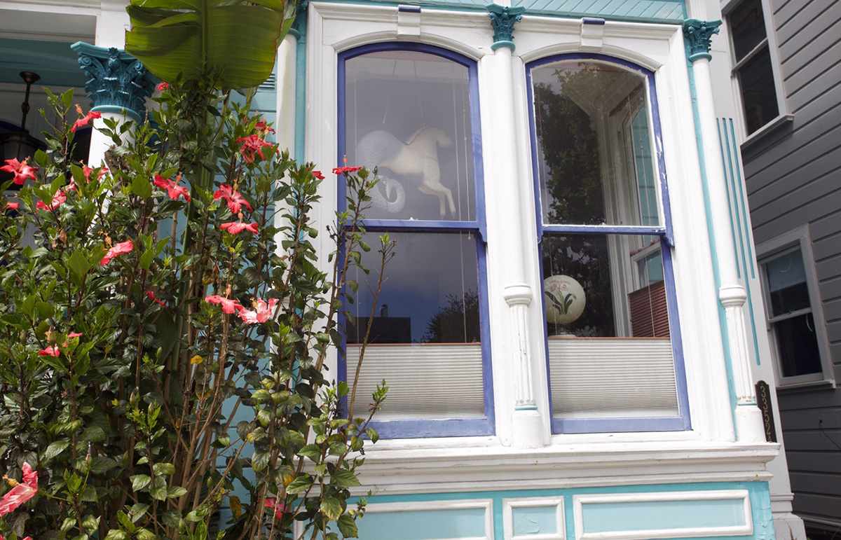 Hippocampus in window