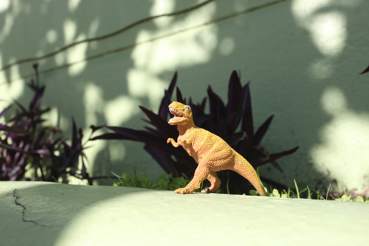 Dinosaur toy on a wall.