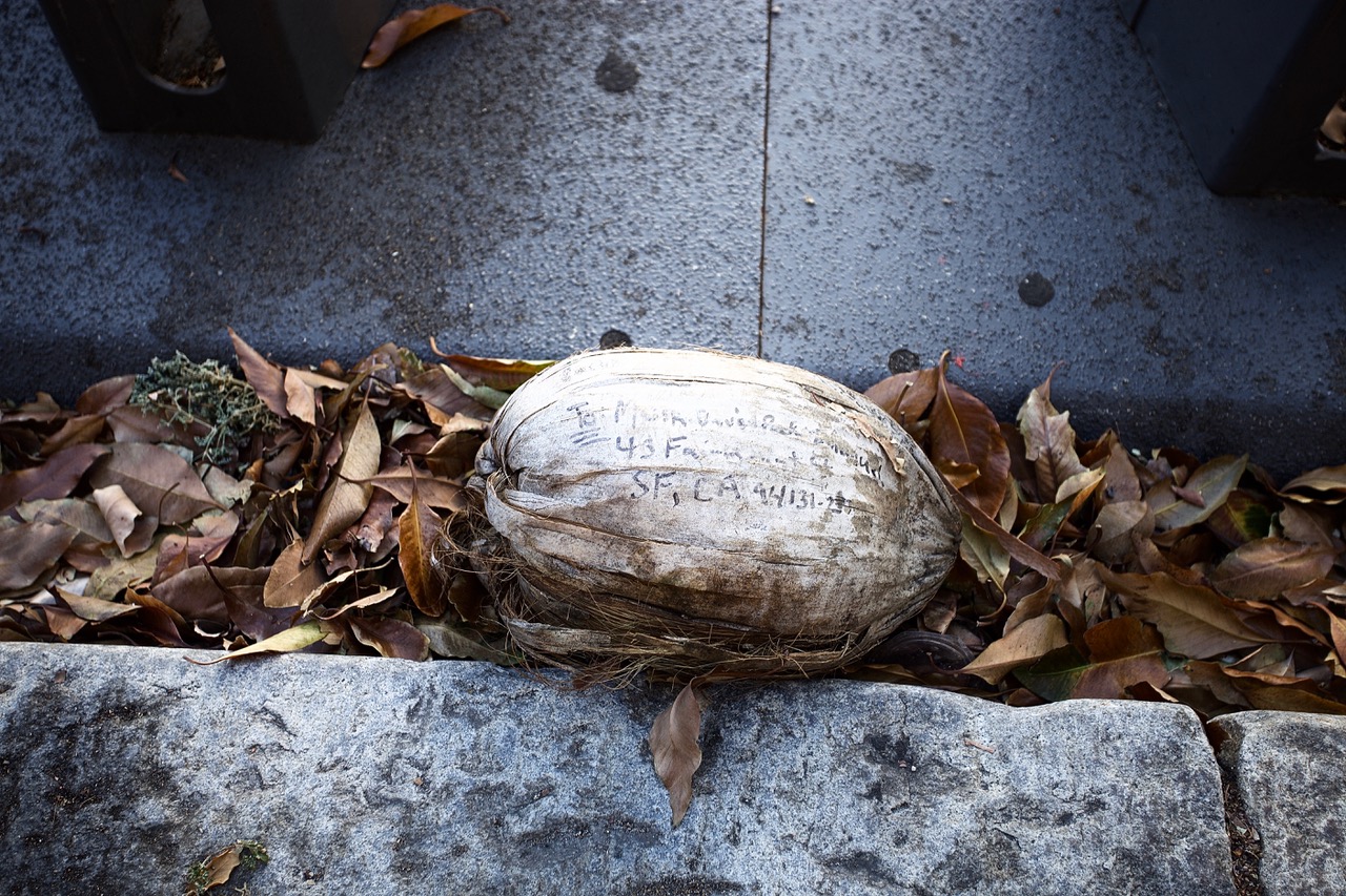 Photo of an old gord with an address on it.
