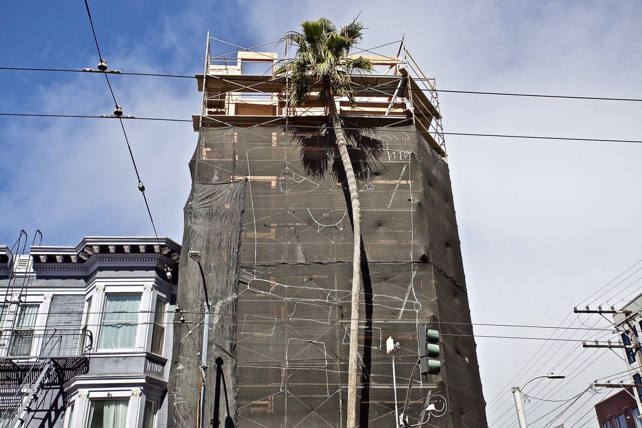 A tall palm right in front of a construction site.