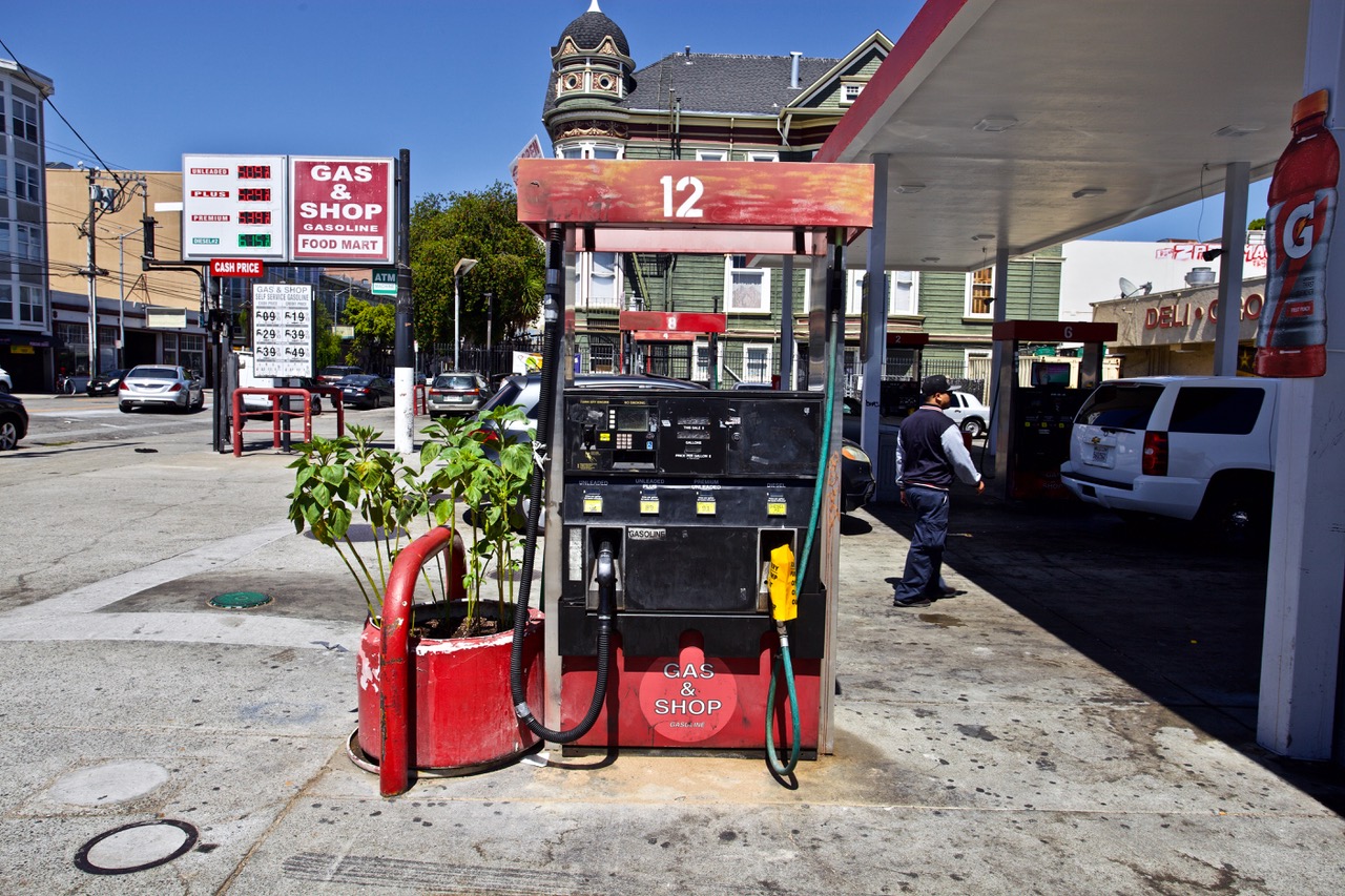 a plant near a gas station pump
