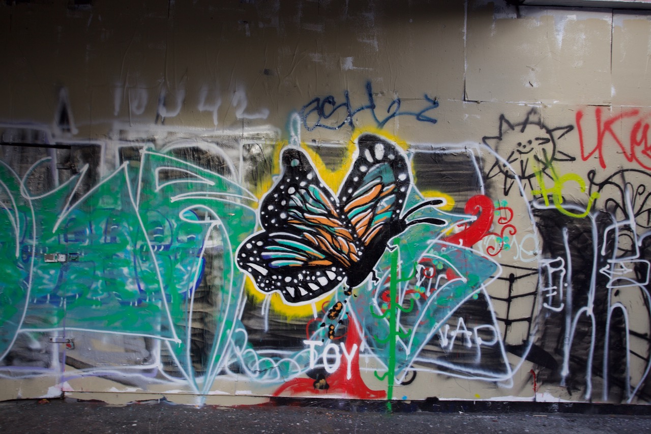 A butterfly mural on a wall full of graffiti