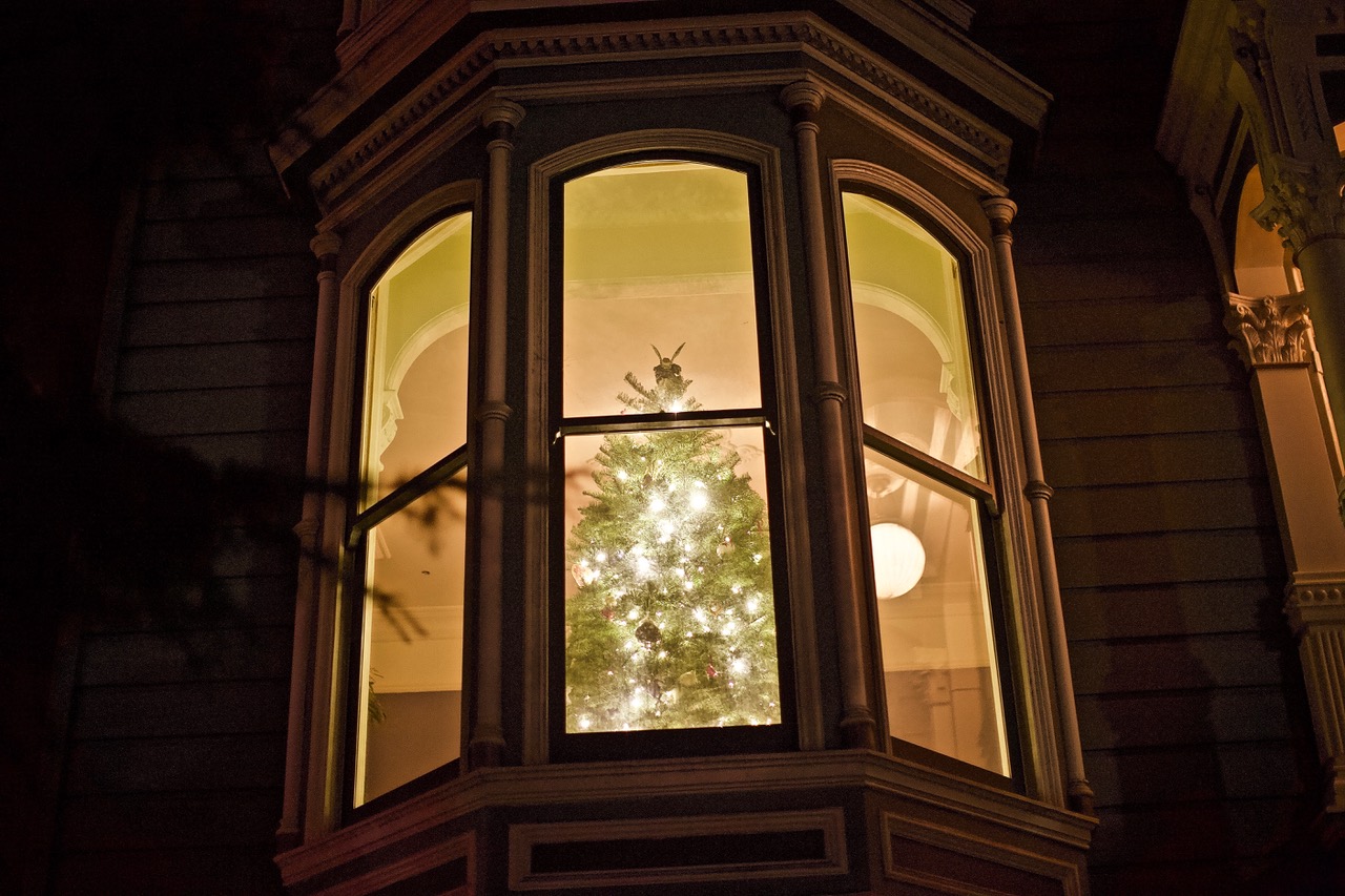 Looking through a window at night to see a lit Christmas tree.