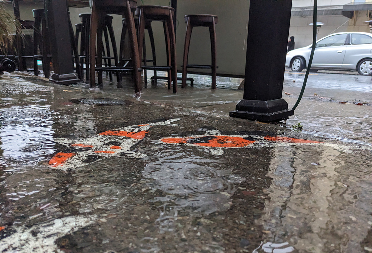 Painted koi fish on the street, underwater because of flooding.