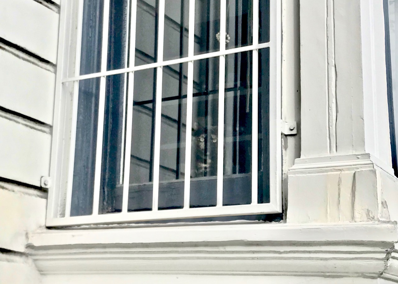 A cat looking out a window.