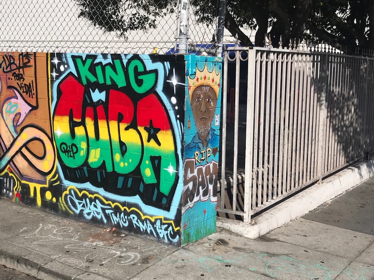 Colorful graffiti on a wall reads "King Cuba" with an image of a person wearing a crown and the text "RIP" beside it. A metal fence is visible in the background.