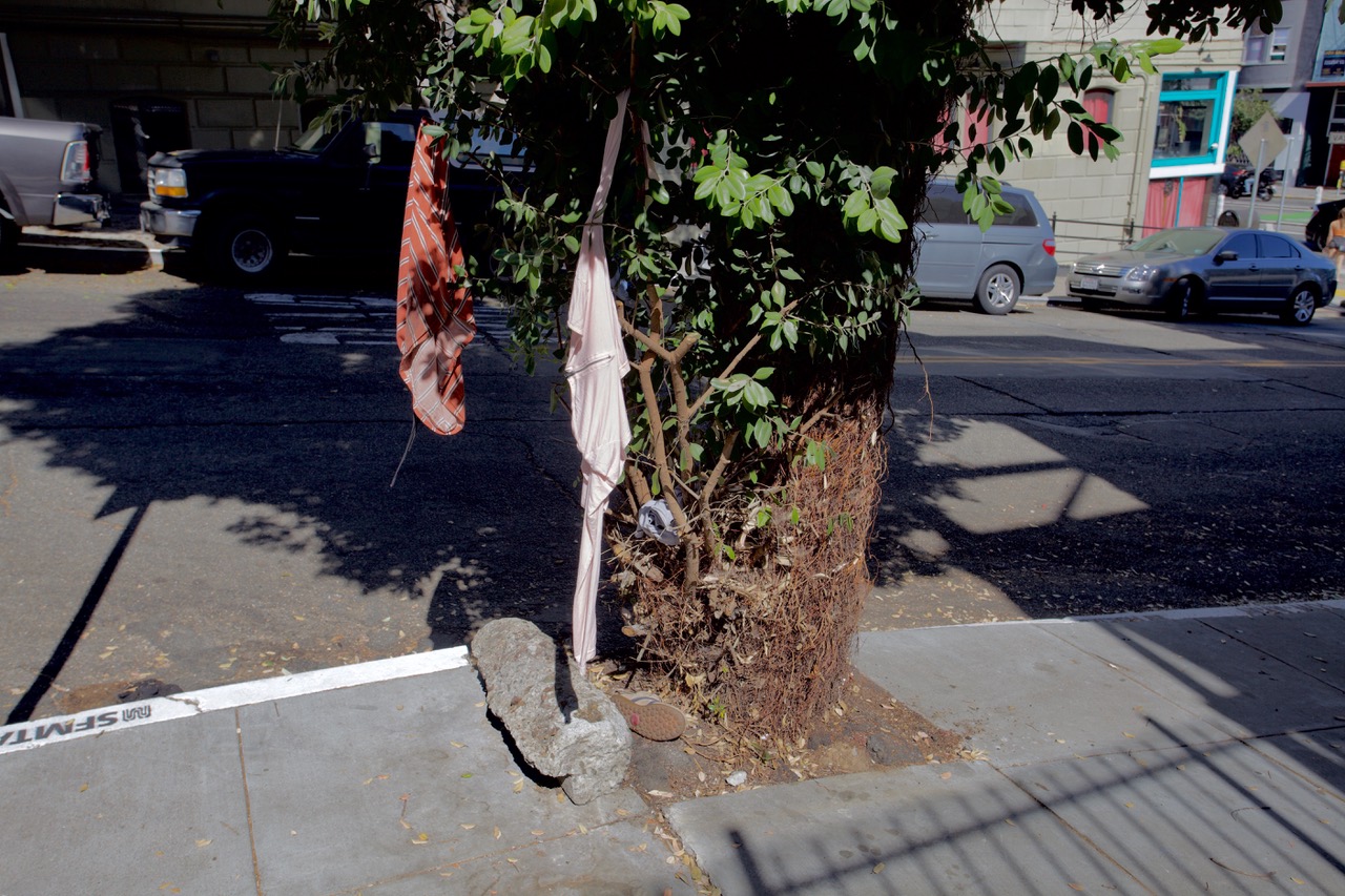 A tree with a metal pole has clothing items hanging on it, surrounded by a rock and a pot, located on a sidewalk near a street.