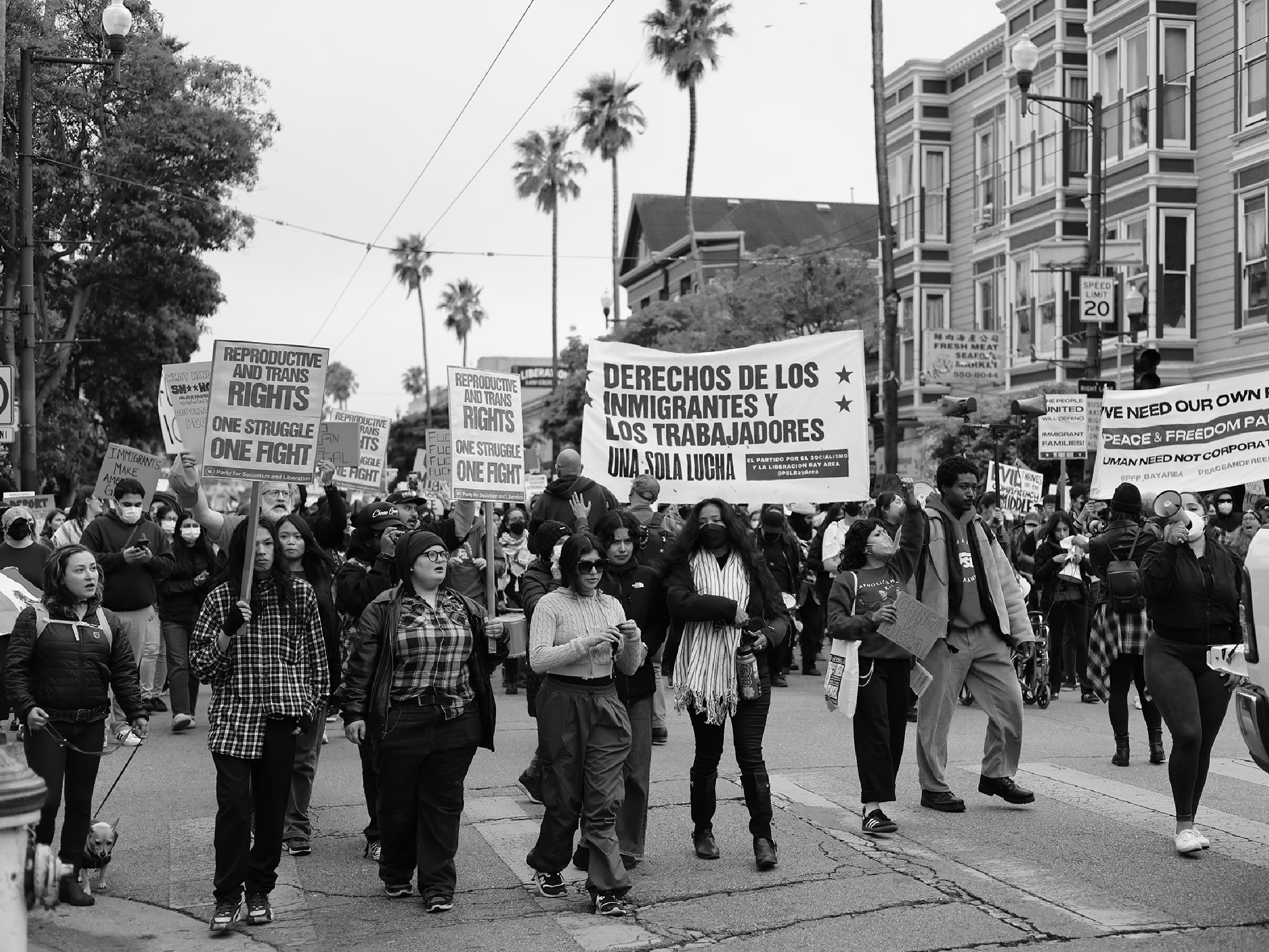 A group of people march down a city street holding signs advocating for immigrant, worker, and reproductive rights; buildings and palm trees are visible in the background.