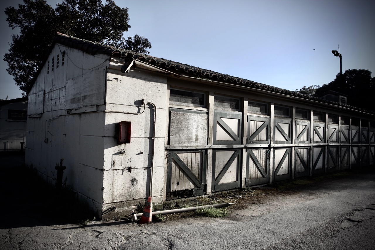 A row of weathered wooden stable doors on a long, white concrete building with a tiled roof; two orange traffic cones are near the corner.
