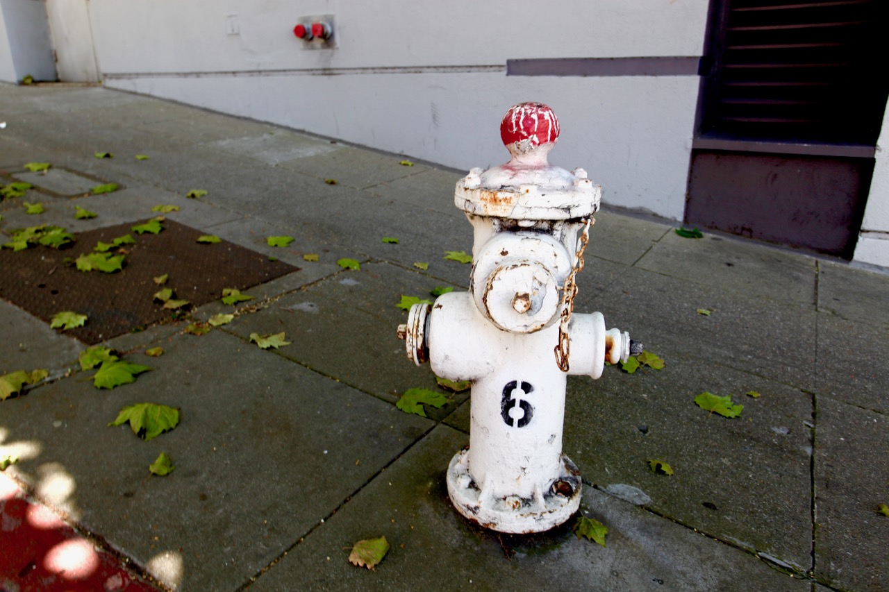A white fire hydrant with a red top and the number 6 painted on it stands on a sidewalk with scattered leaves.