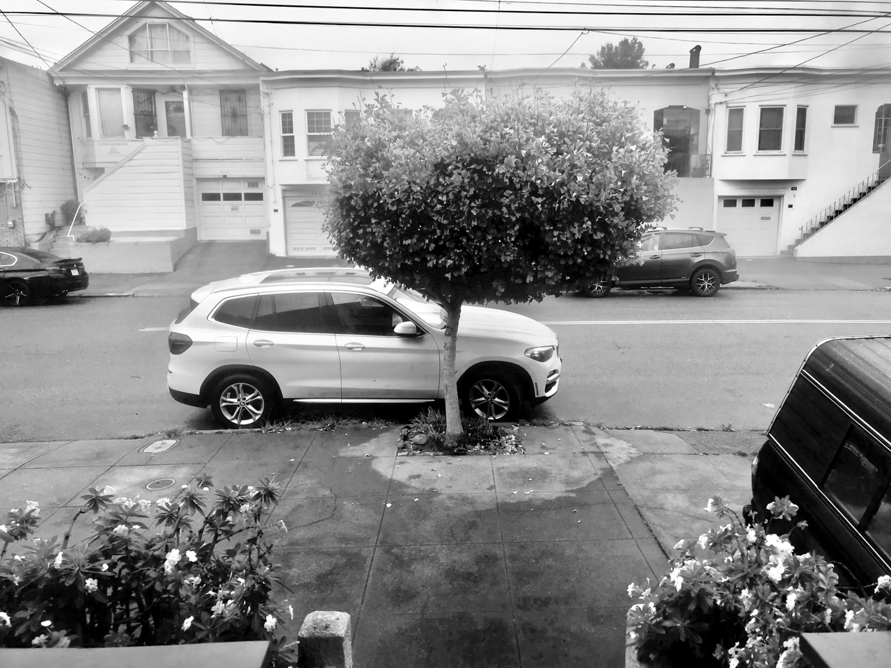 A white SUV parked on a city street in front of a small tree, with residential buildings in the background.