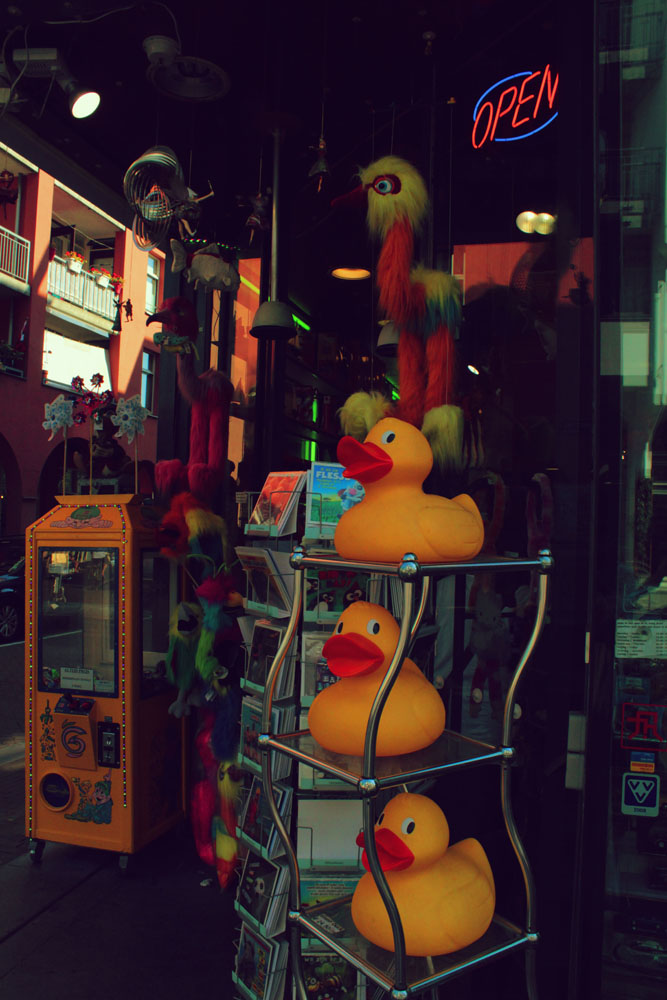 Ducks. The shelf was moving so they were swaying back and forth. It was graceful.