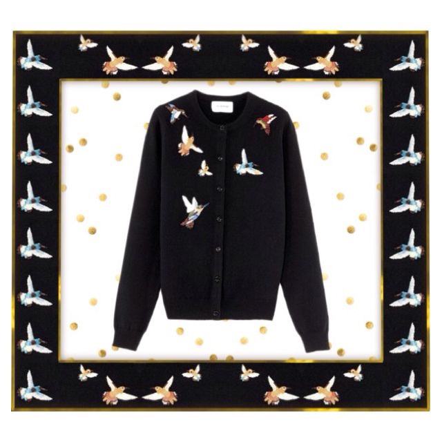 Admiring the flight of sparkling birds (Eric Bompard)