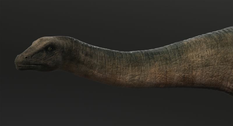 Brontosaurus Rigged Missset - Mountain Images - Modern High Resolution Collection