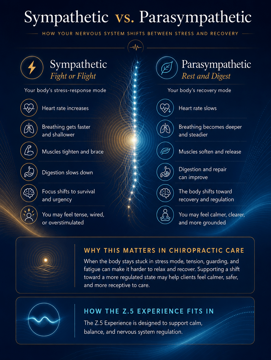 nervous system image