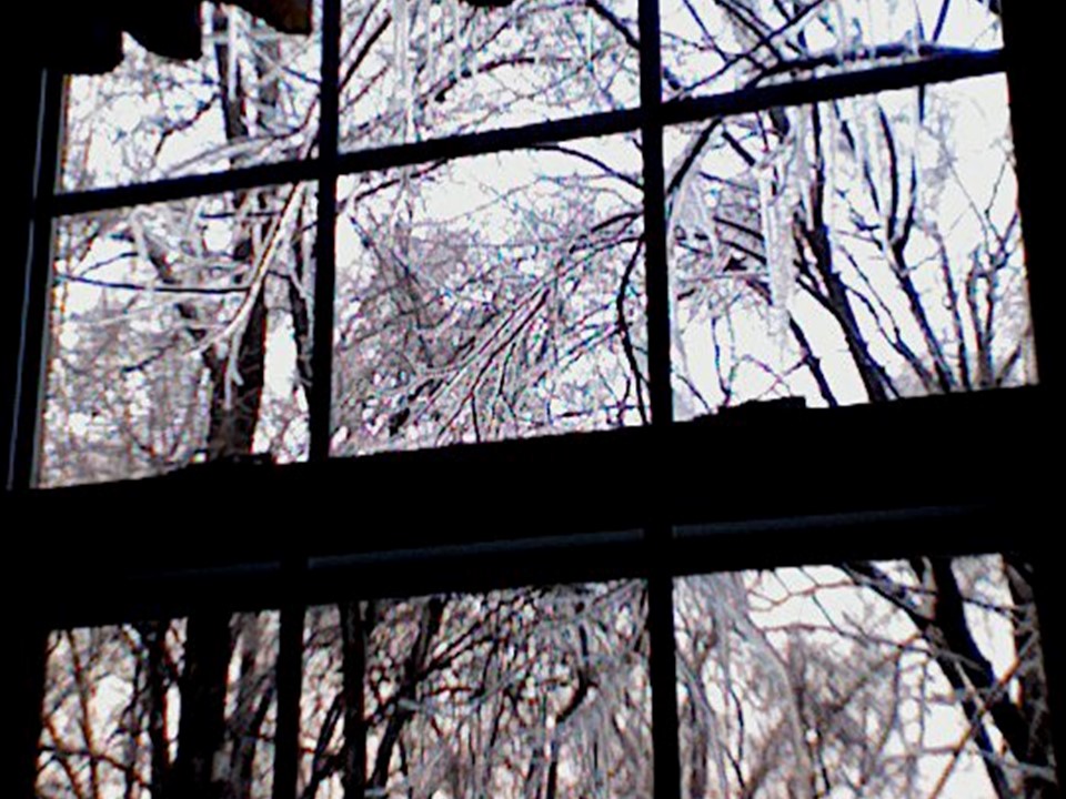 The view from my office window when an ice storm struck: Suddenly the world was made of glass.