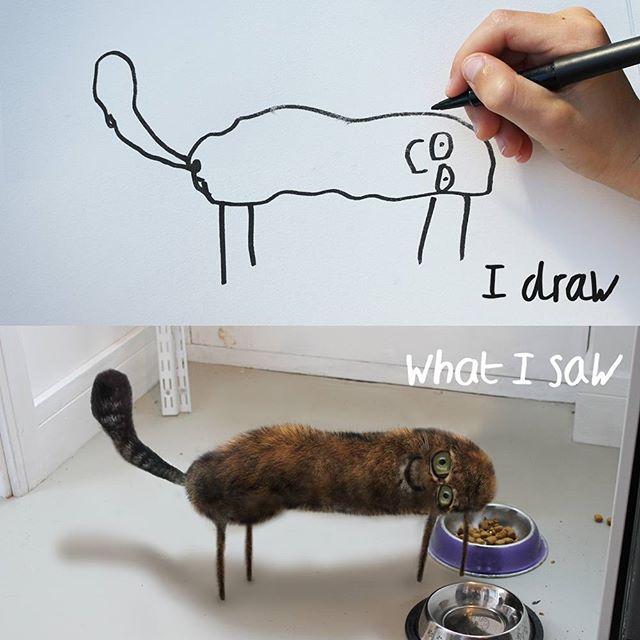 Kitty