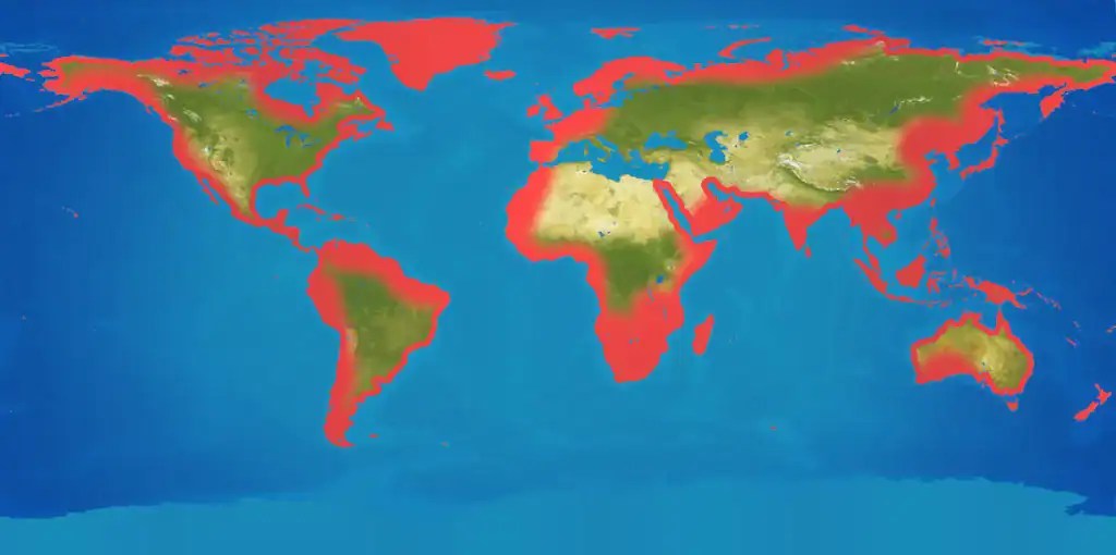 NASA Study: Sea Level Along U.S. Coastlines Could Rise 12 Inches By ...