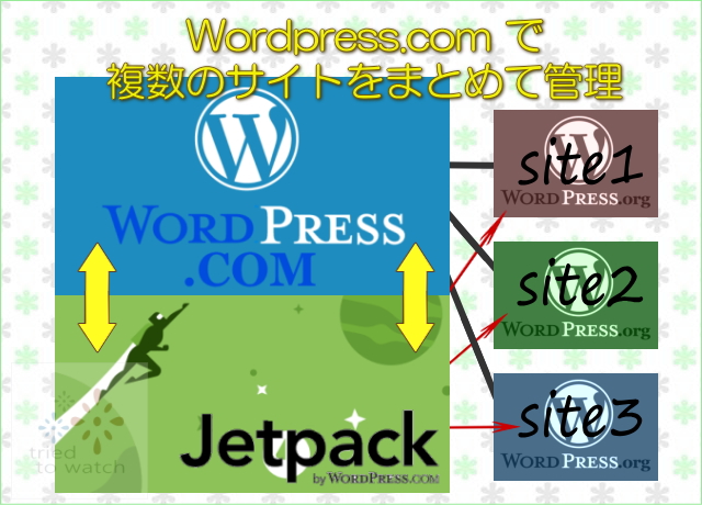wordpress-com-management