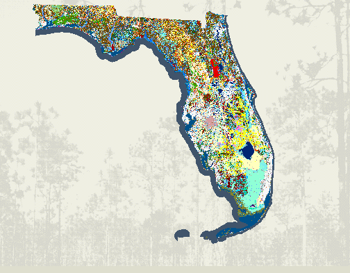 Florida Vegetation Map Maps Of Florida Cities And Roads Free Florida Map 