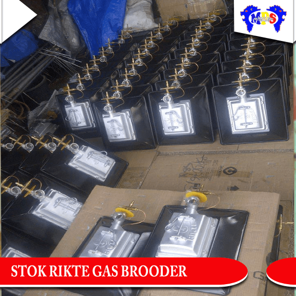 Pemanas Rikte Gas Brooder Terbaik