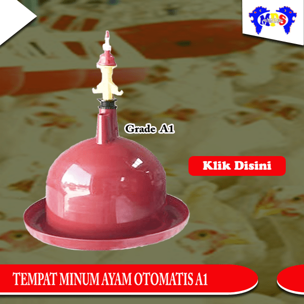 TMAO 2