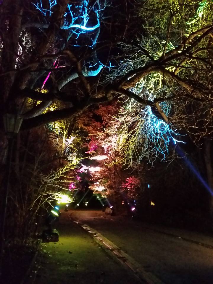 Botanischer Garten Augsburg