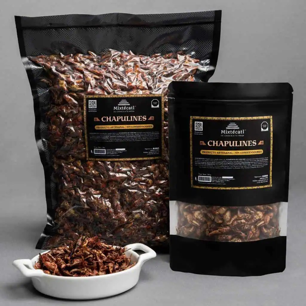 CHAPULINES 01